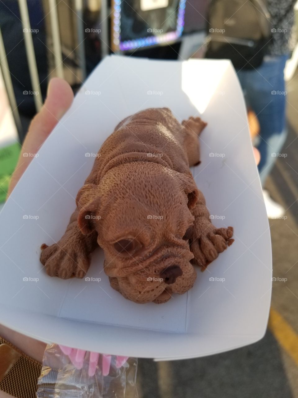 Chocolate mousse puppy