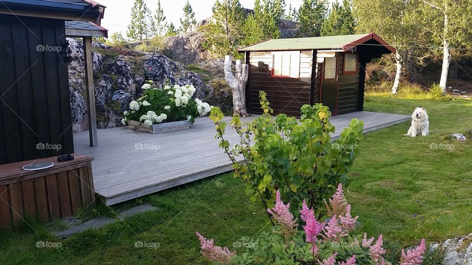 Cabin, Norway