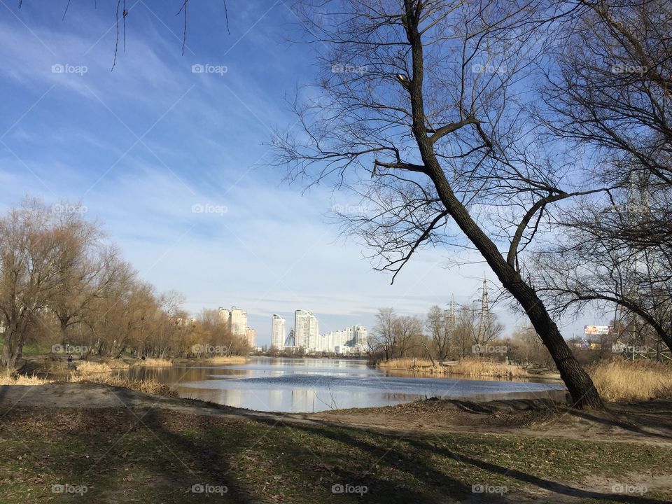 Spring on a lake bank