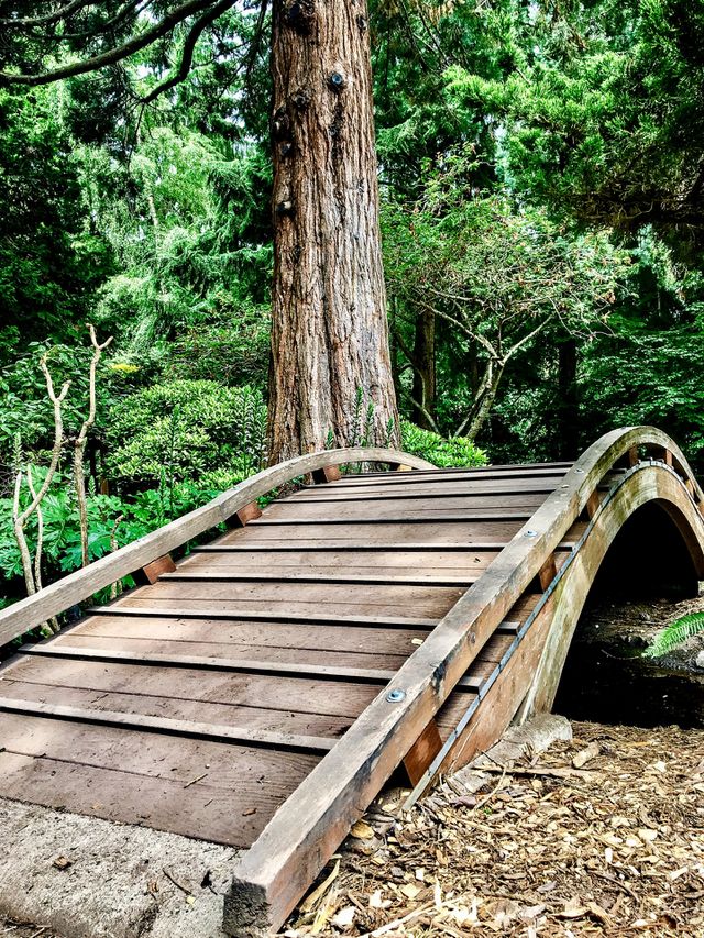 Arched Bridge 
