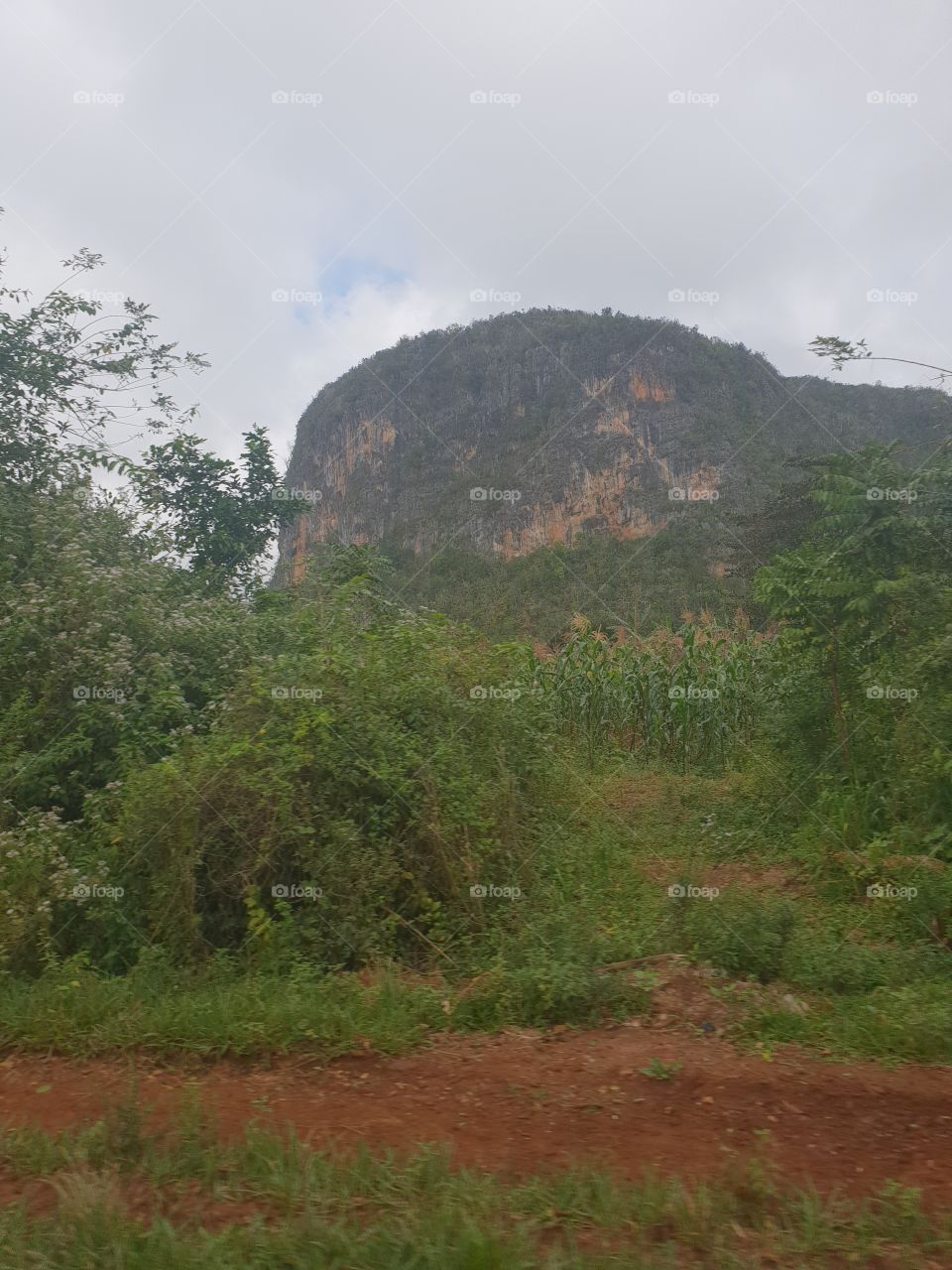 Viñales