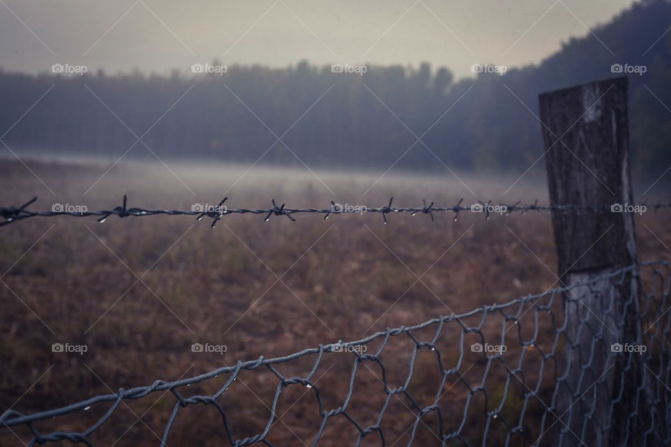 Barbed wire