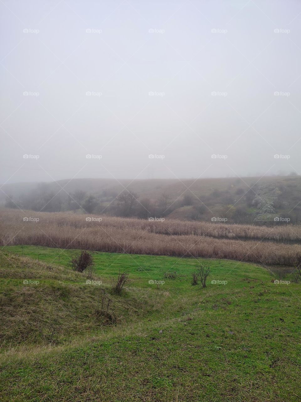 Green meadow beside the river. Green grass, hills in the fog at the background. Gray skyline. Early foggy morning. Countryside, rural area. Beautiful meadow landscape. Nature view