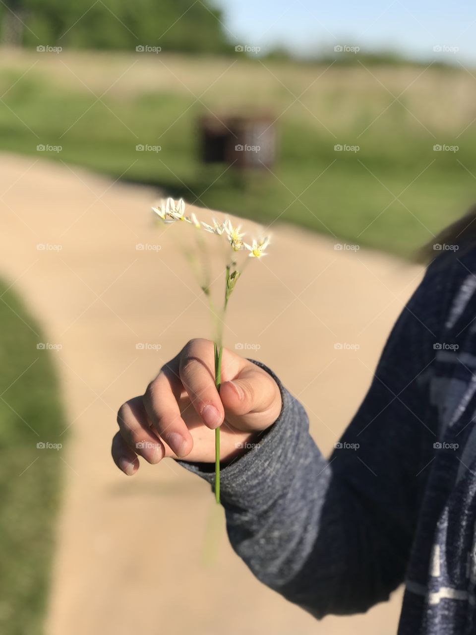 Holding a flower at the park 