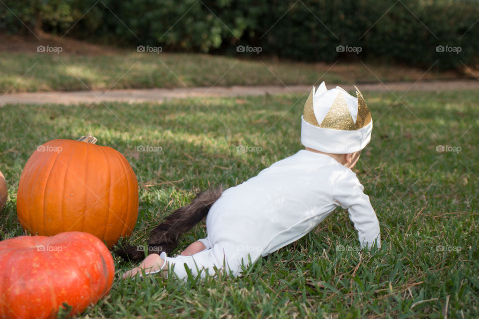 Close-up of baby boy on grass