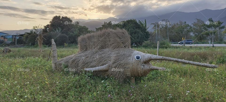Straw sailfish in the park