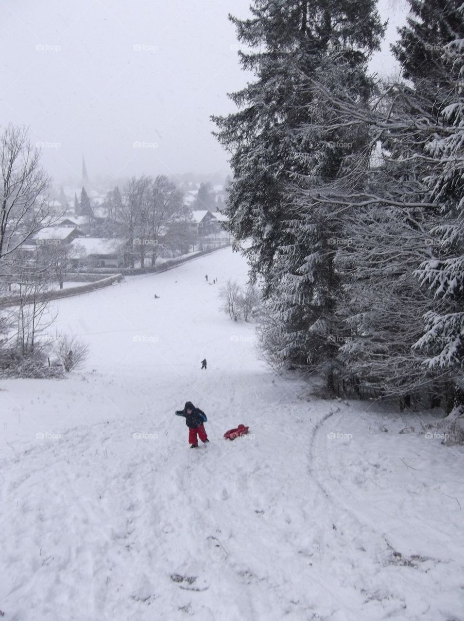 Sledding