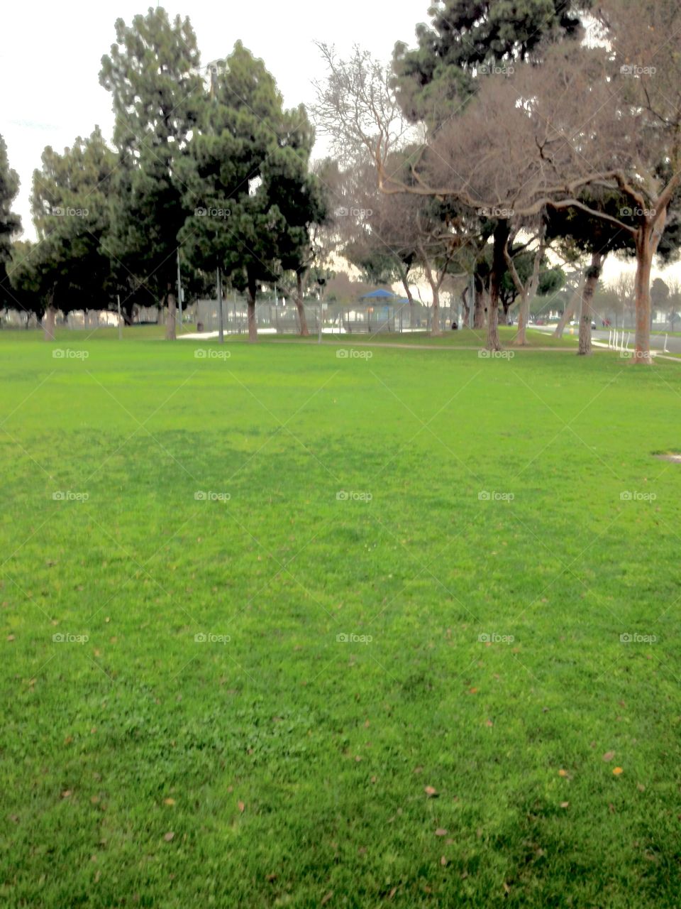 Park View 

Published by:
HappyBrownMonkey 