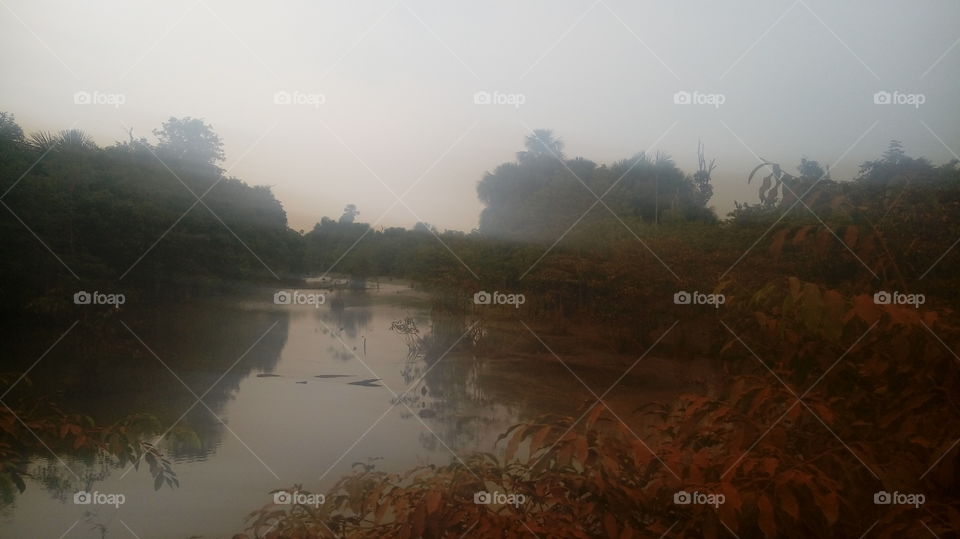 Landscape, Water, Tree, Fog, Dawn