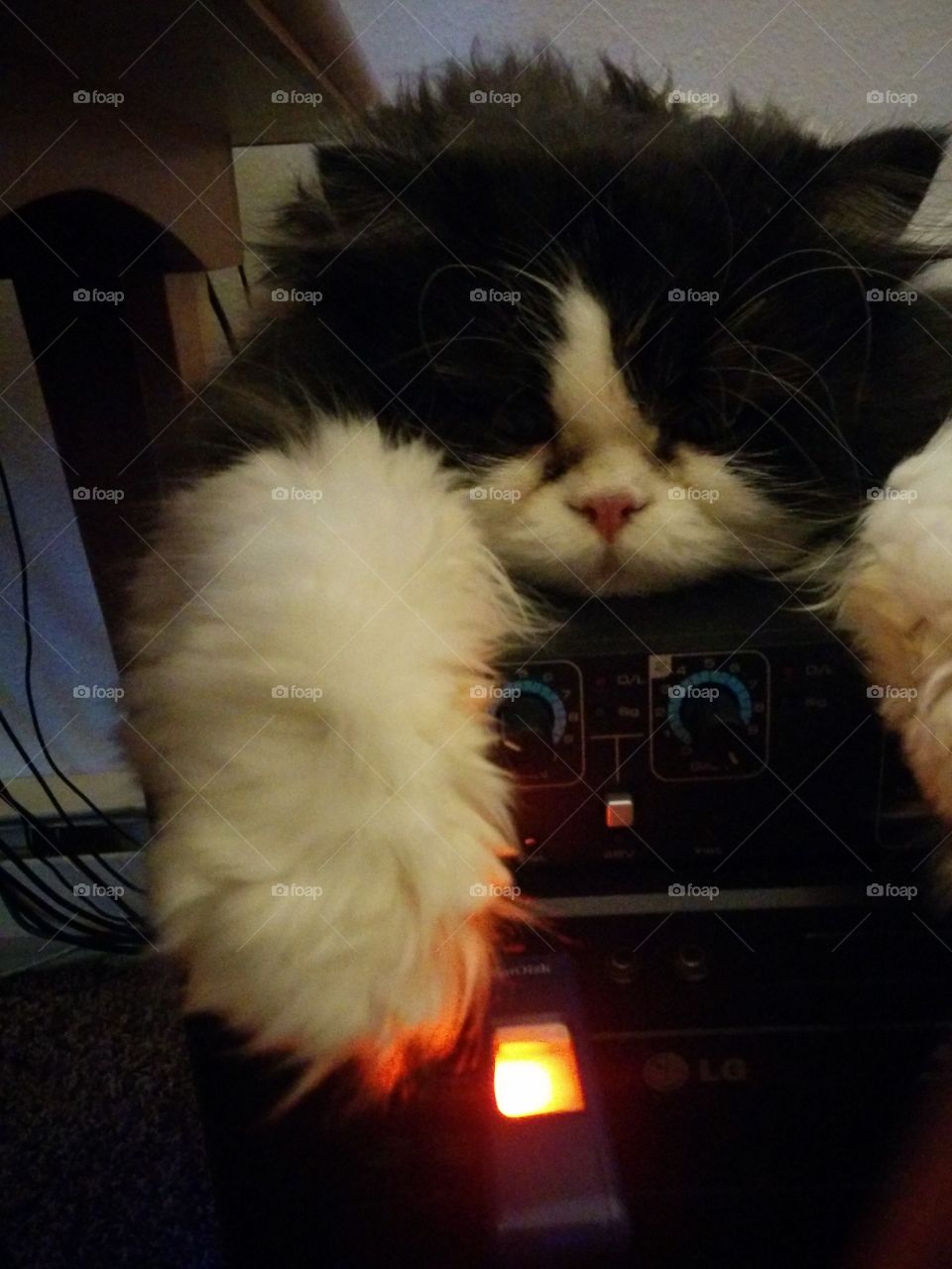 Kitty On A Hot PC