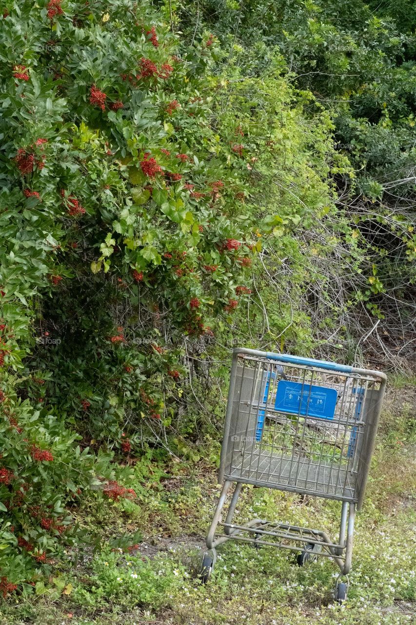 eTailer’s Nightmare: Abandoned Shopping Cart