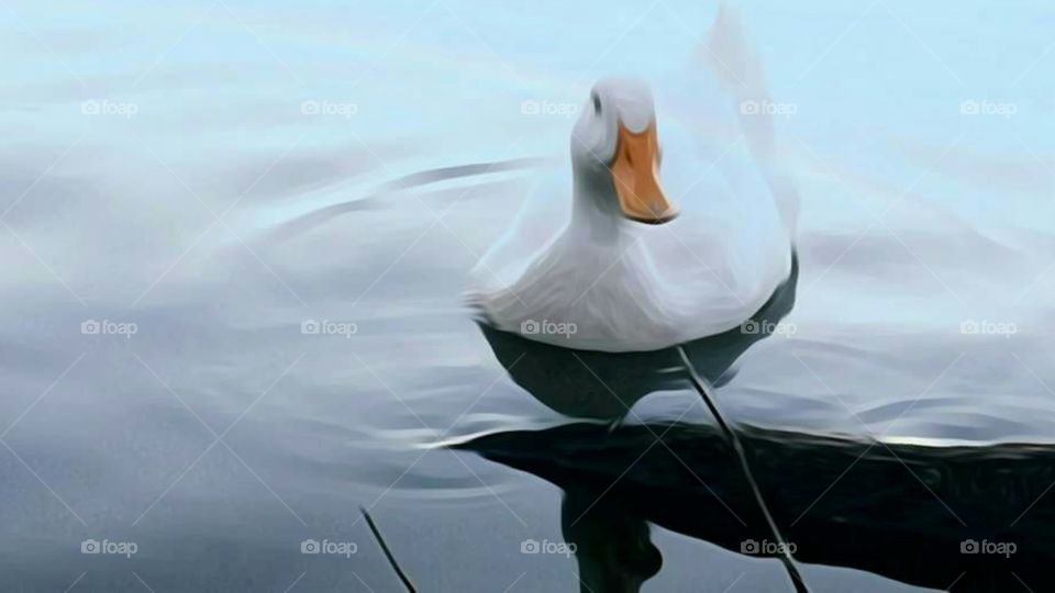Painting style of white duck in beautiful blue water