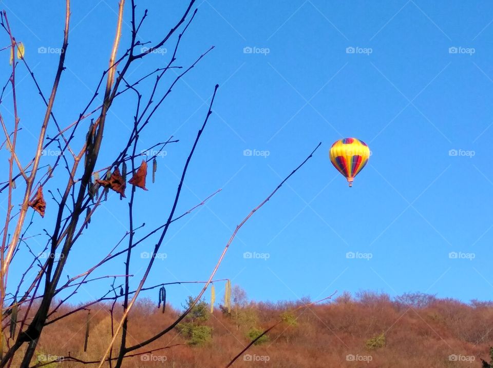 hot air balloon