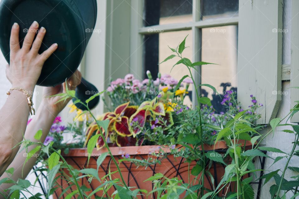 Time to water the flowers 