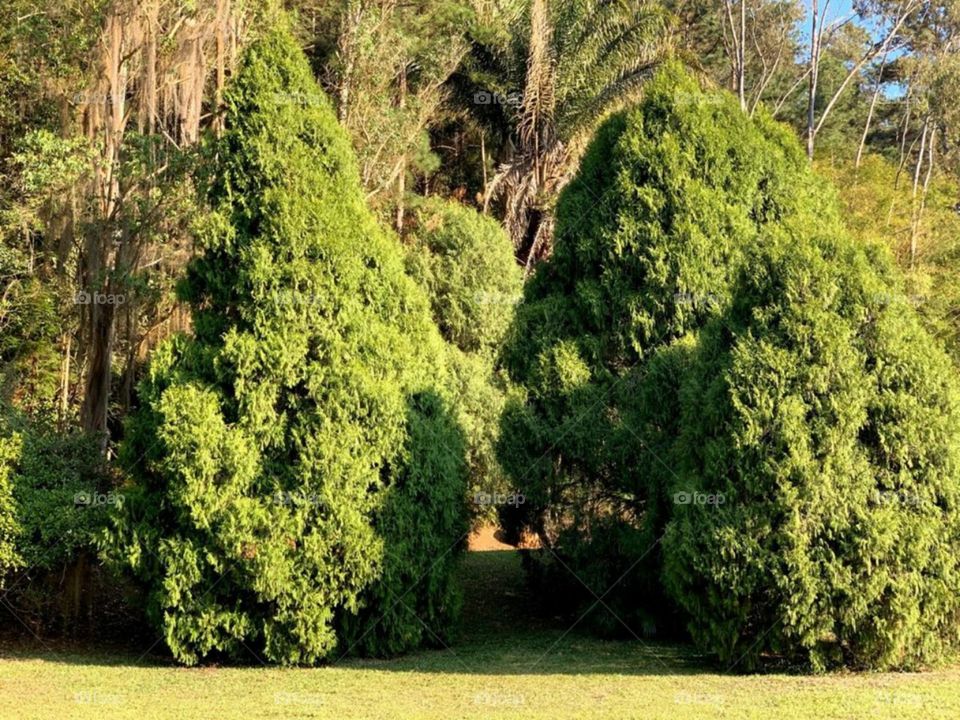 Belezas da natureza.