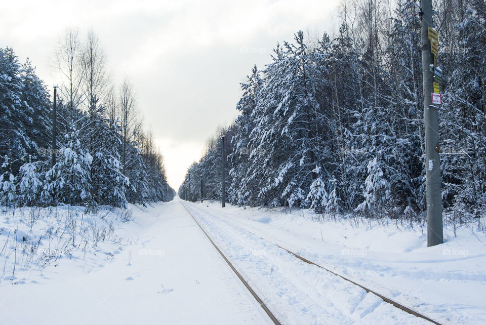 Empty road during winter