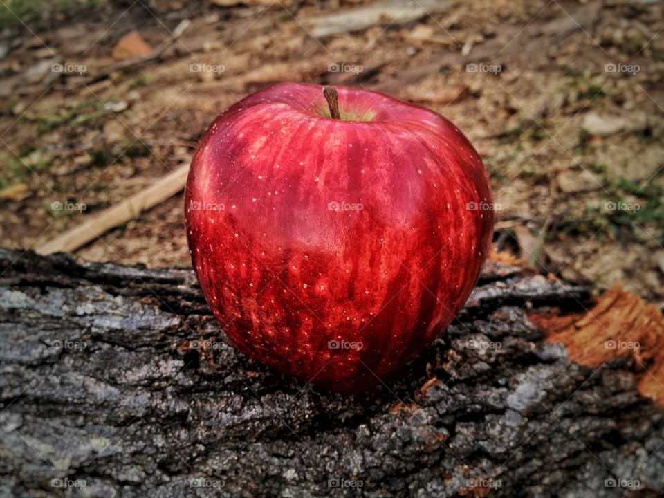 Red Apple