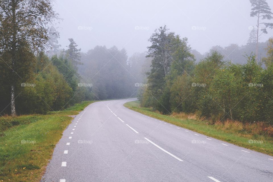 Road, Asphalt, Landscape, No Person, Guidance