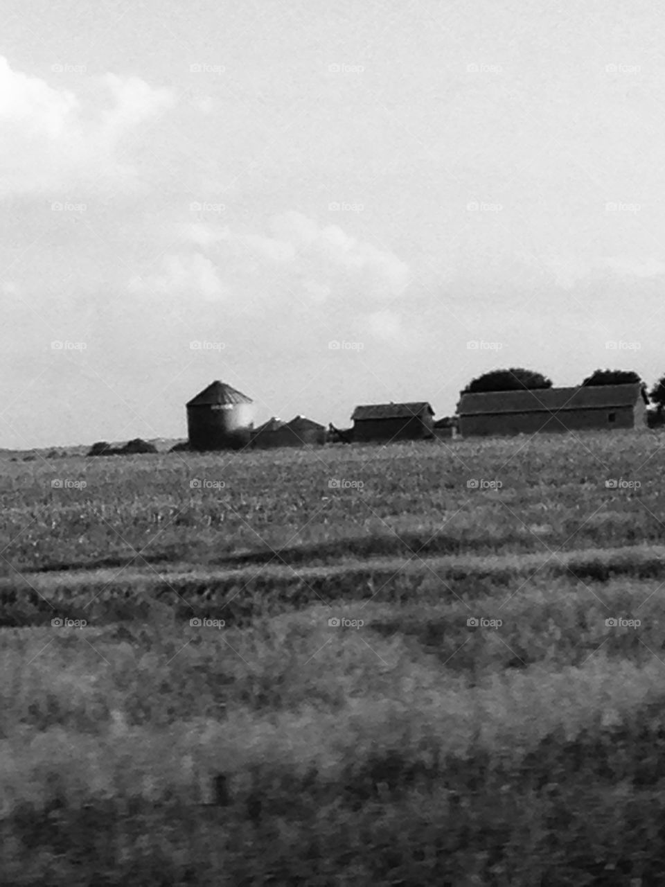 Farm, black and white, land