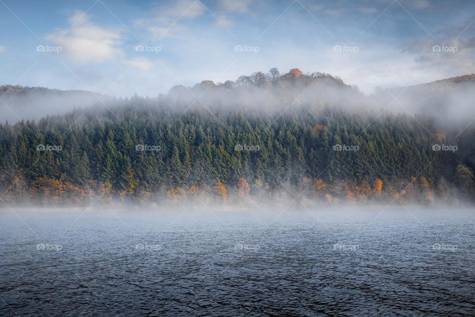 Early morning mist on lake, surrounded by trees.