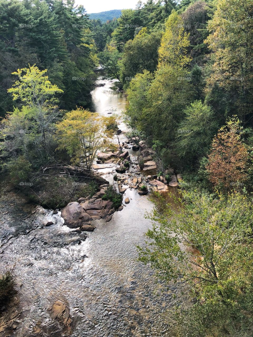 Flowing water in North Georgia 