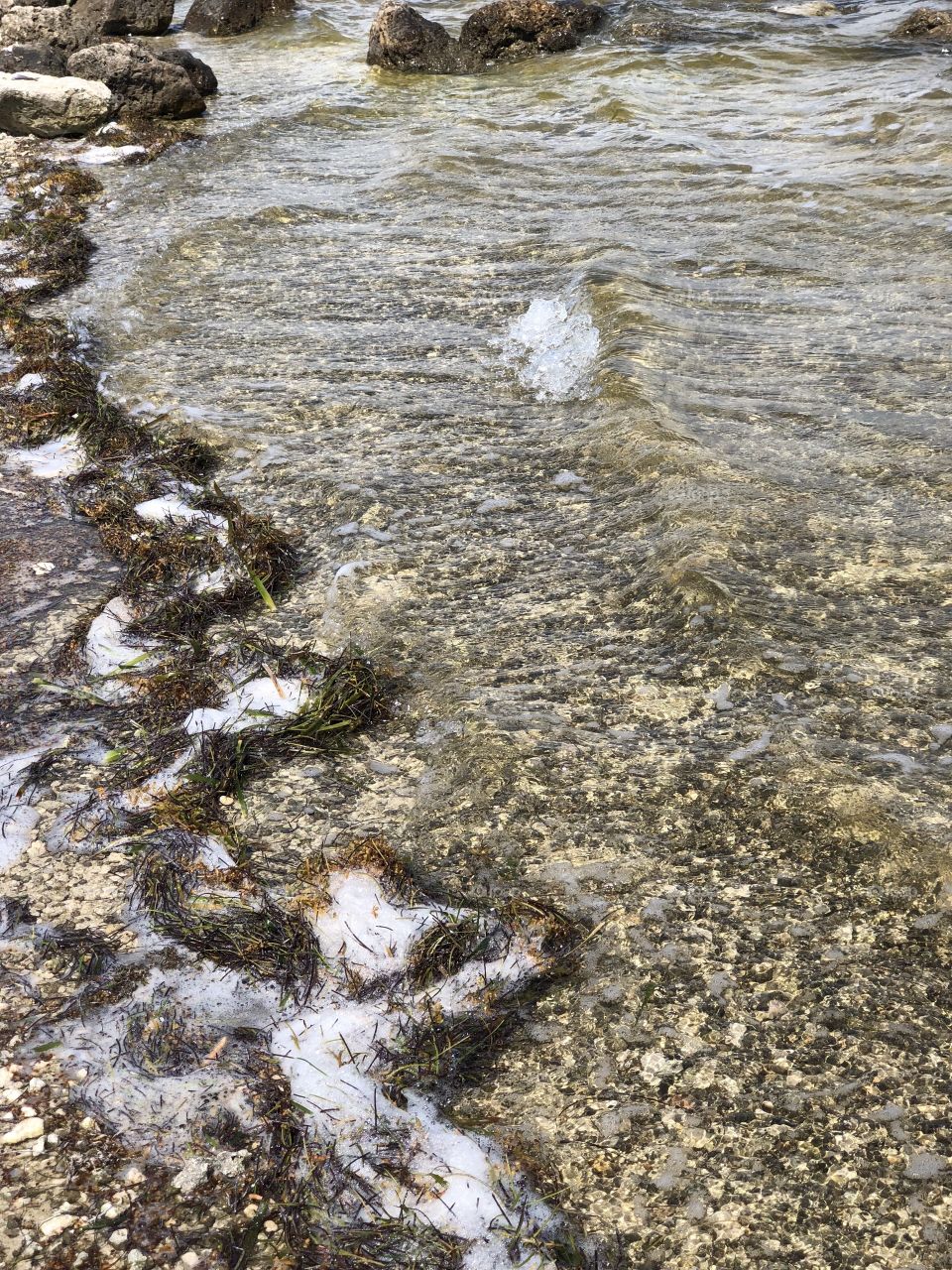 Sea foam on the seashore 