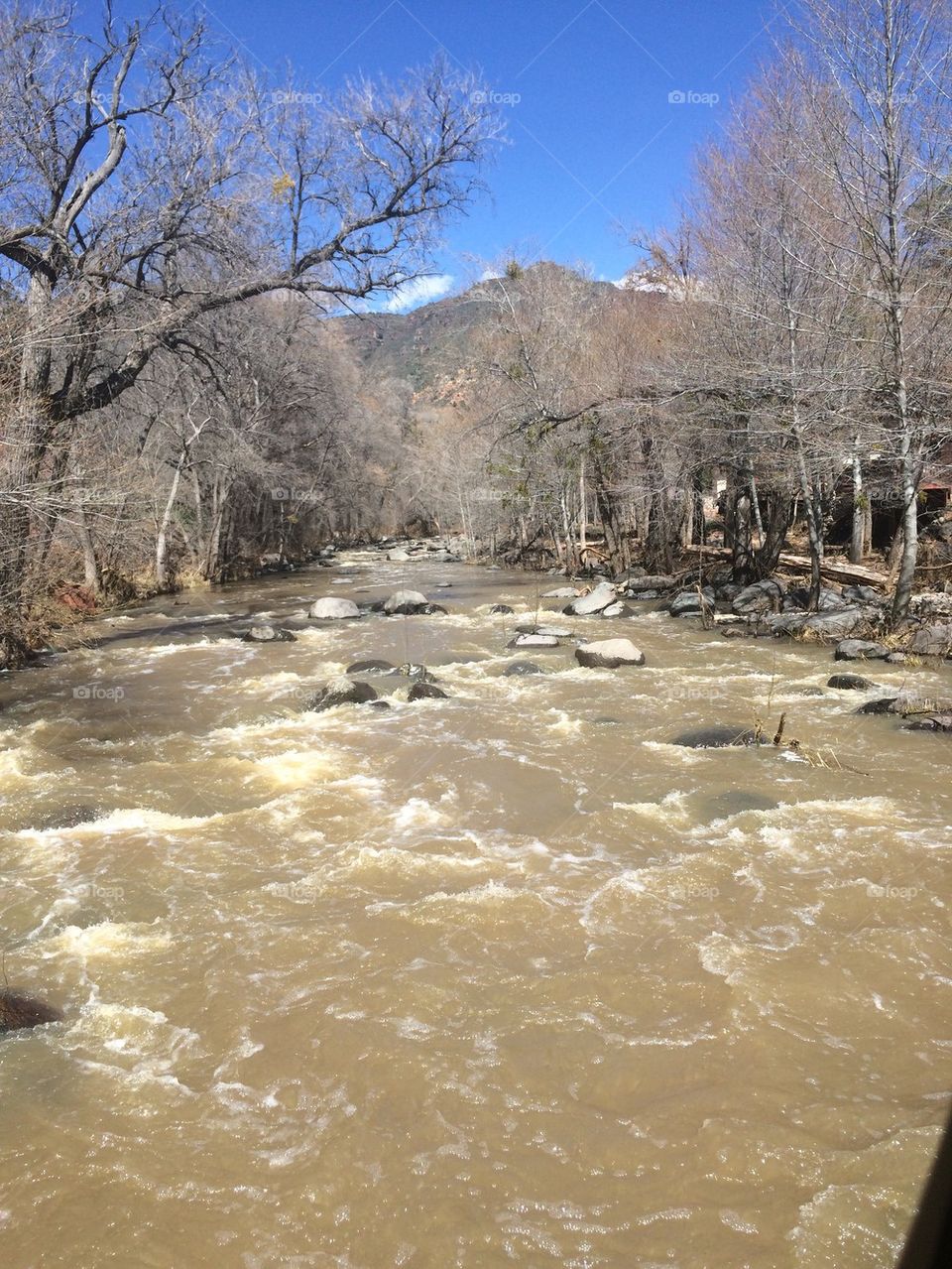 At the Creek