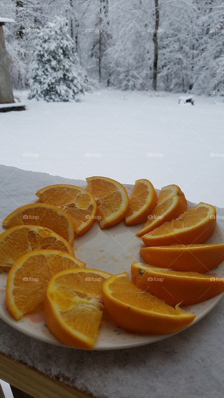 oranges in the snow