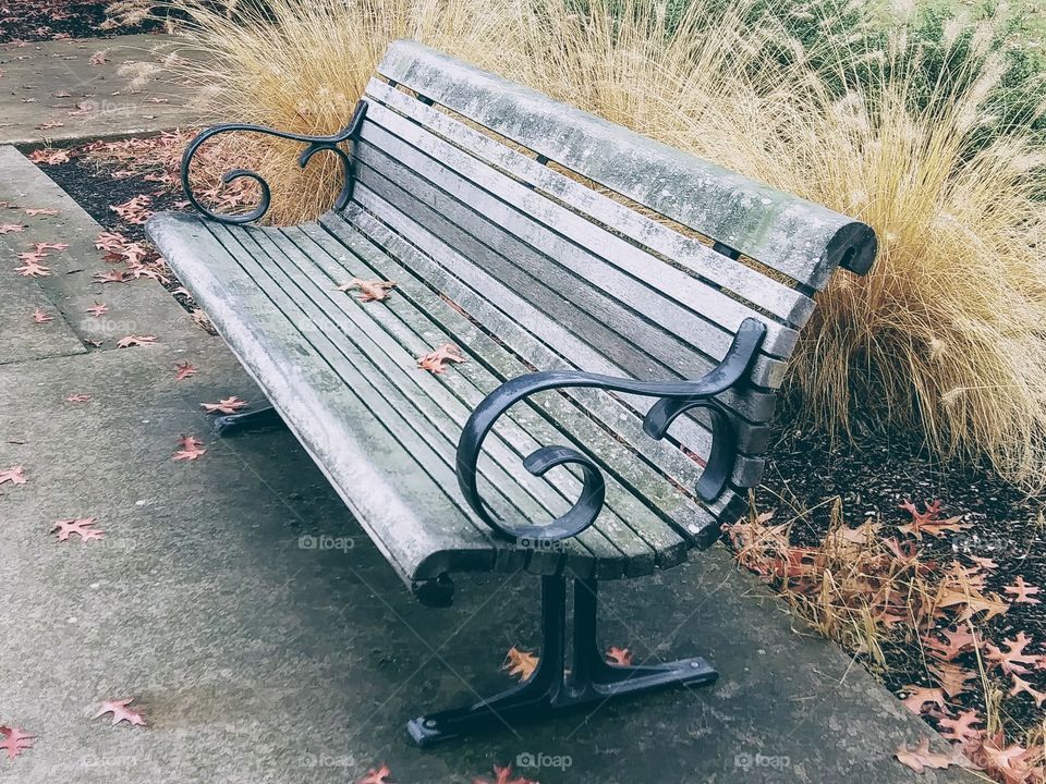 park bench