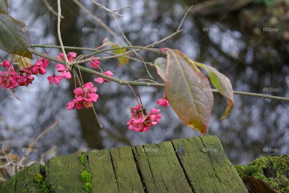 Autumn impressions