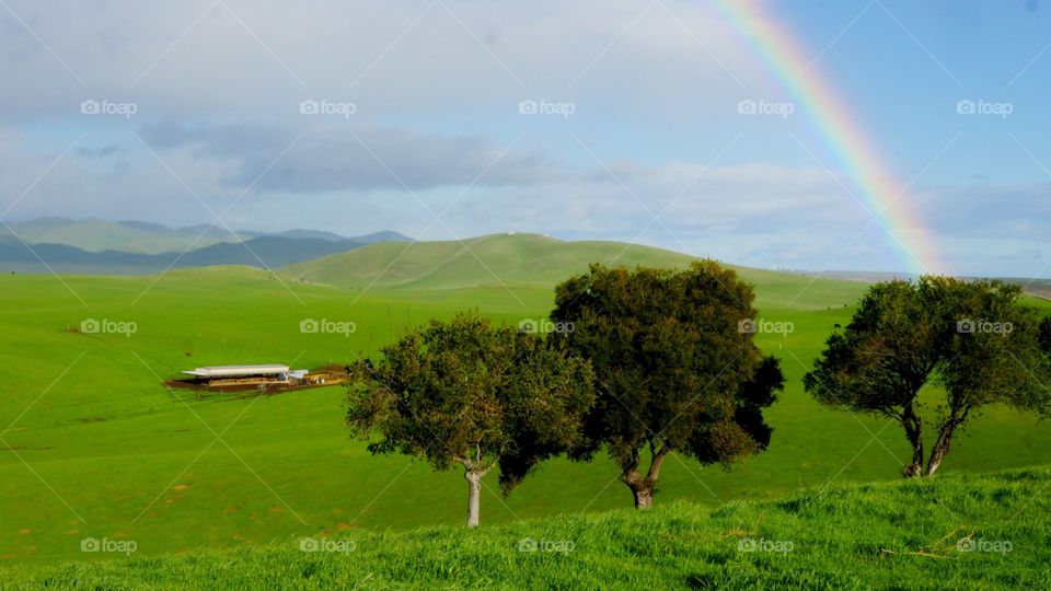 Rainbow in Spring Over California