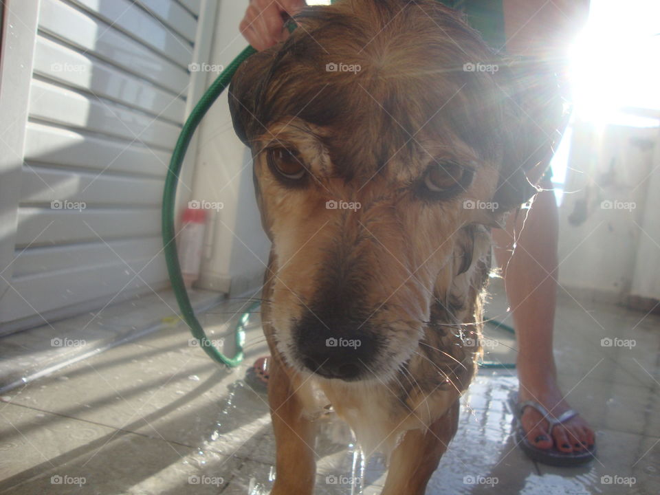 Taking a bath. Don't like the water