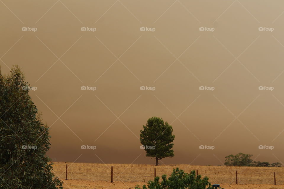 Australian landscape on a hot dusty day