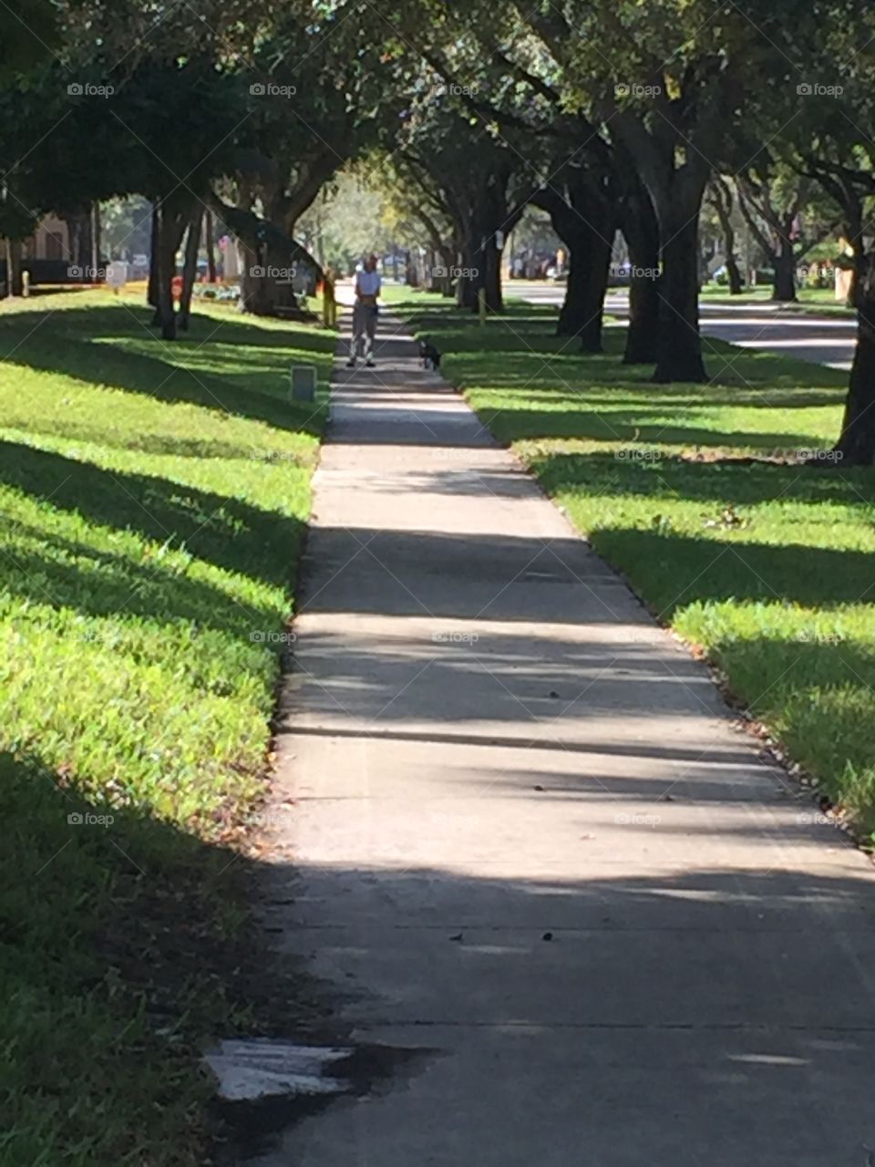 My point of view of  very long path