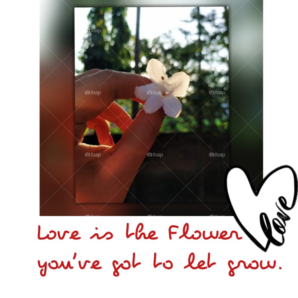Flower and Love..