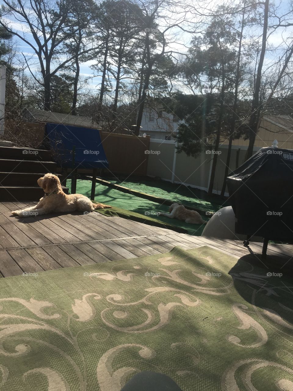 Clay and troy enjoying some sun