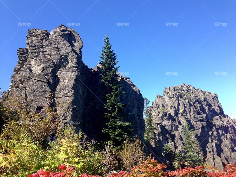 Wilderness Rocks. Fall colors and tall wilderness rocks 