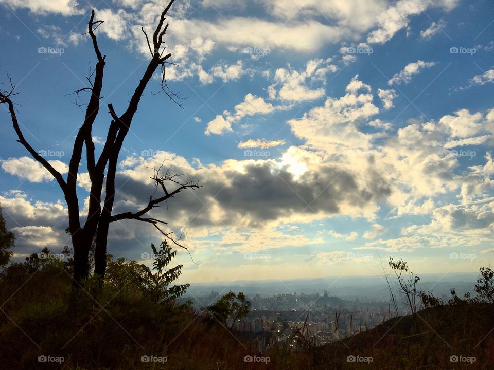 Nature struggling to survive in the midst of big cities in Brazil