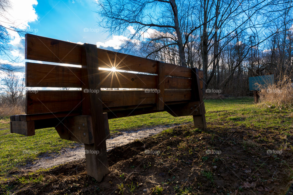 Wood, Landscape, Tree, Bench, No Person