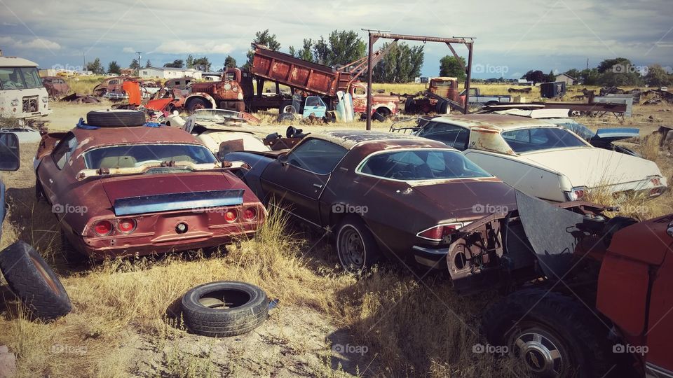 Retired Muscle. Camaros and a Cutlass Supreme