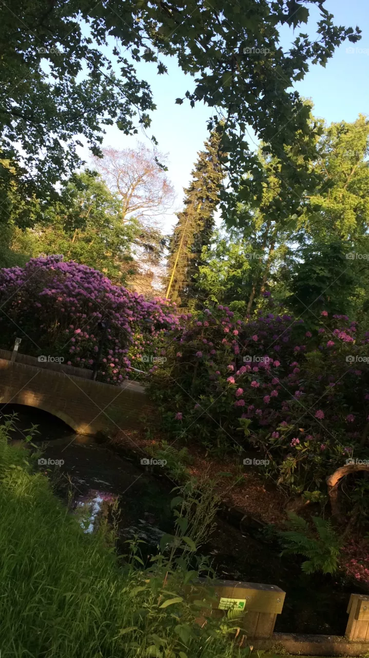 Nature