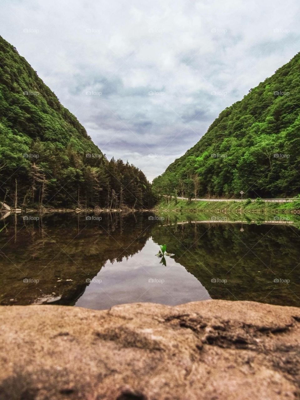 Devils Tombstone New York, wildlife, lake, grass, nature, landscape, peaceful, road, clear water, water, like mirror, trees, mountains,