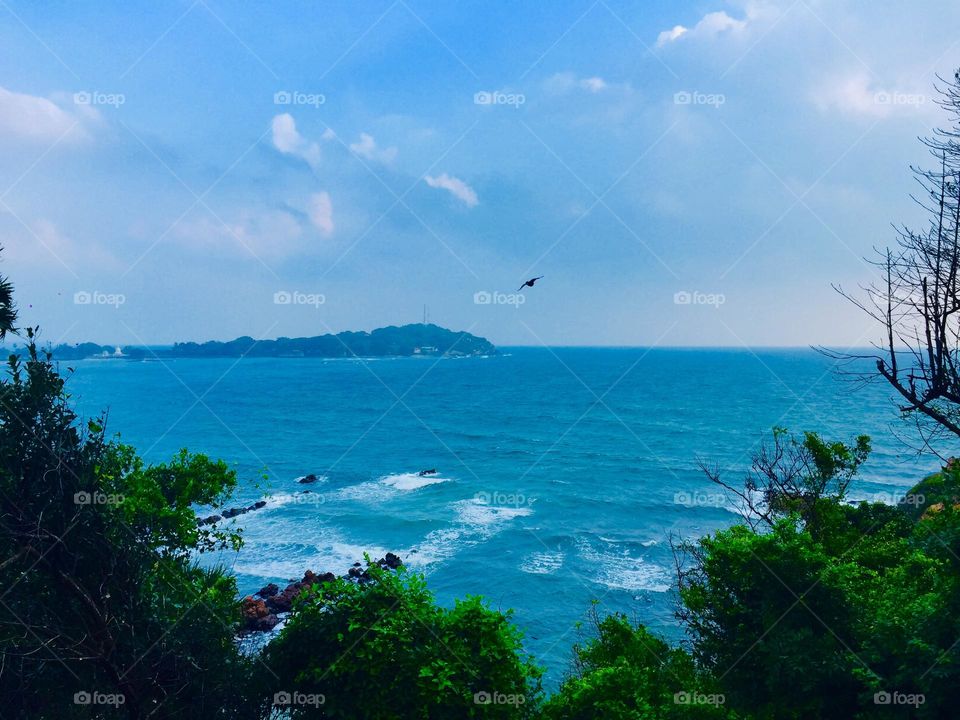 The sky, the mountain, the tree, the animal, give us a delight in and for themselves