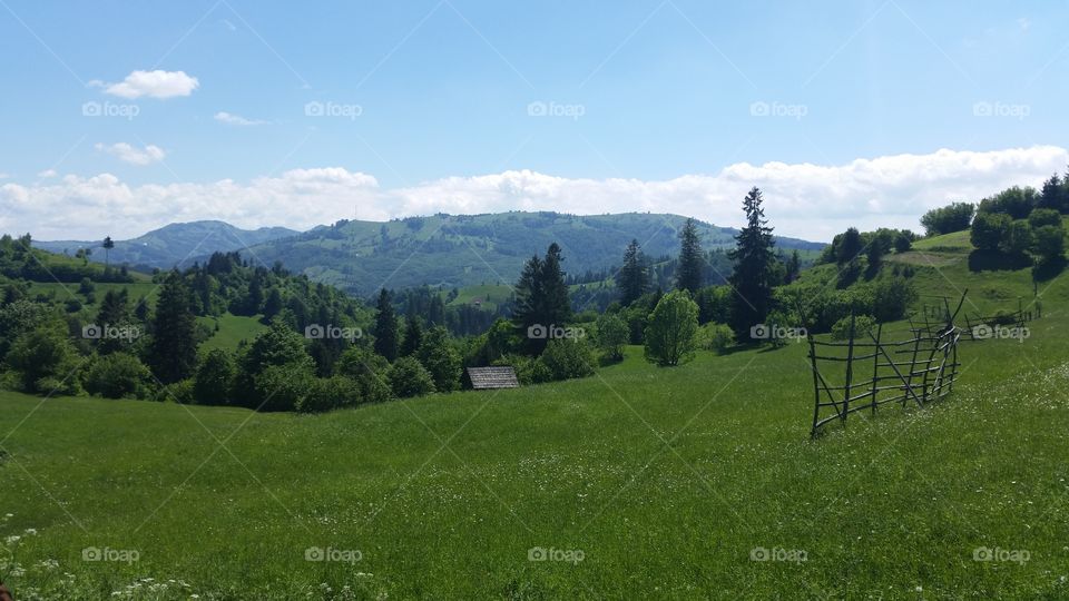 maramures county