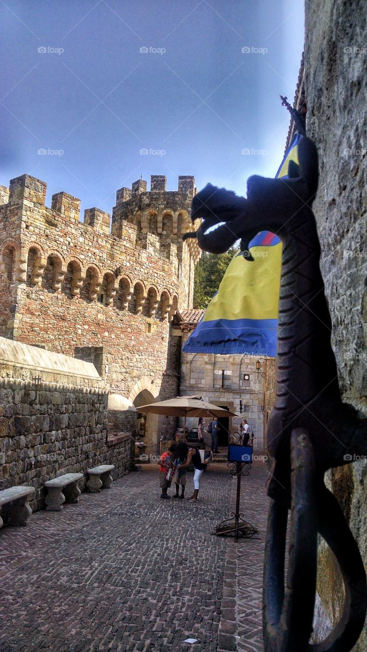 Great adventure in Napa