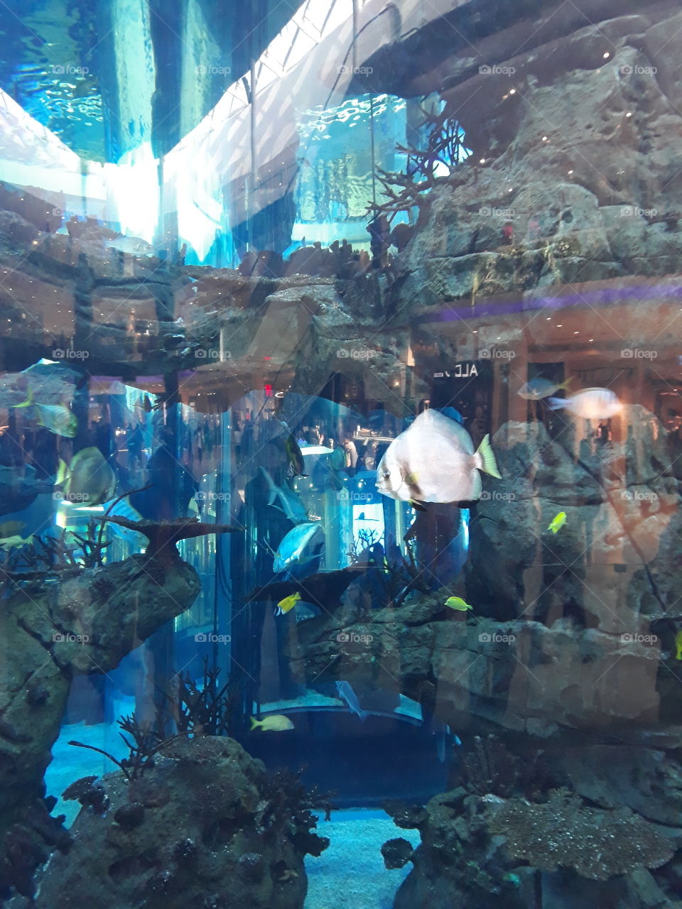 Aquarium