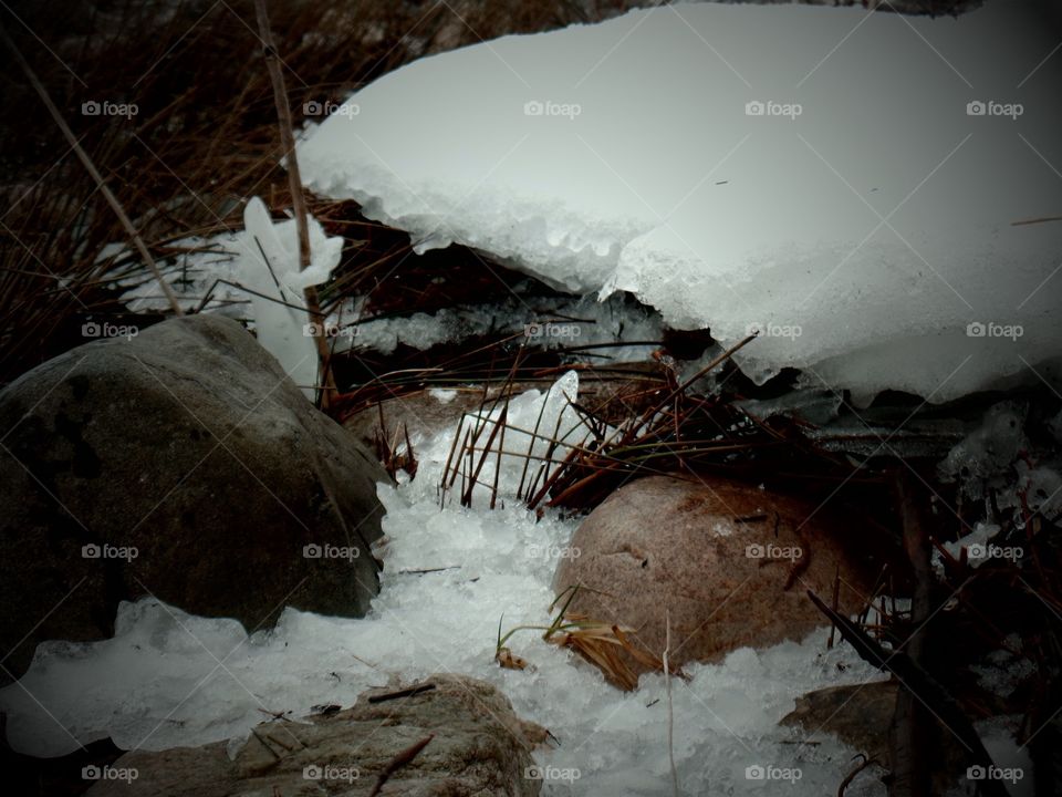 Northern Michigan 