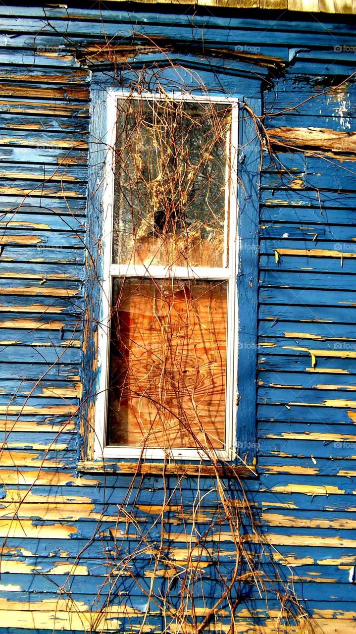 Boarded up blue abandoned