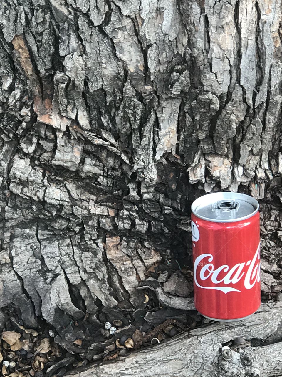 Coca Cola is not just making a history it becomes a part of our life .