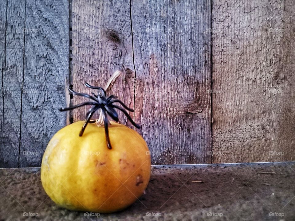 Happy Halloween:
Spooky spider.